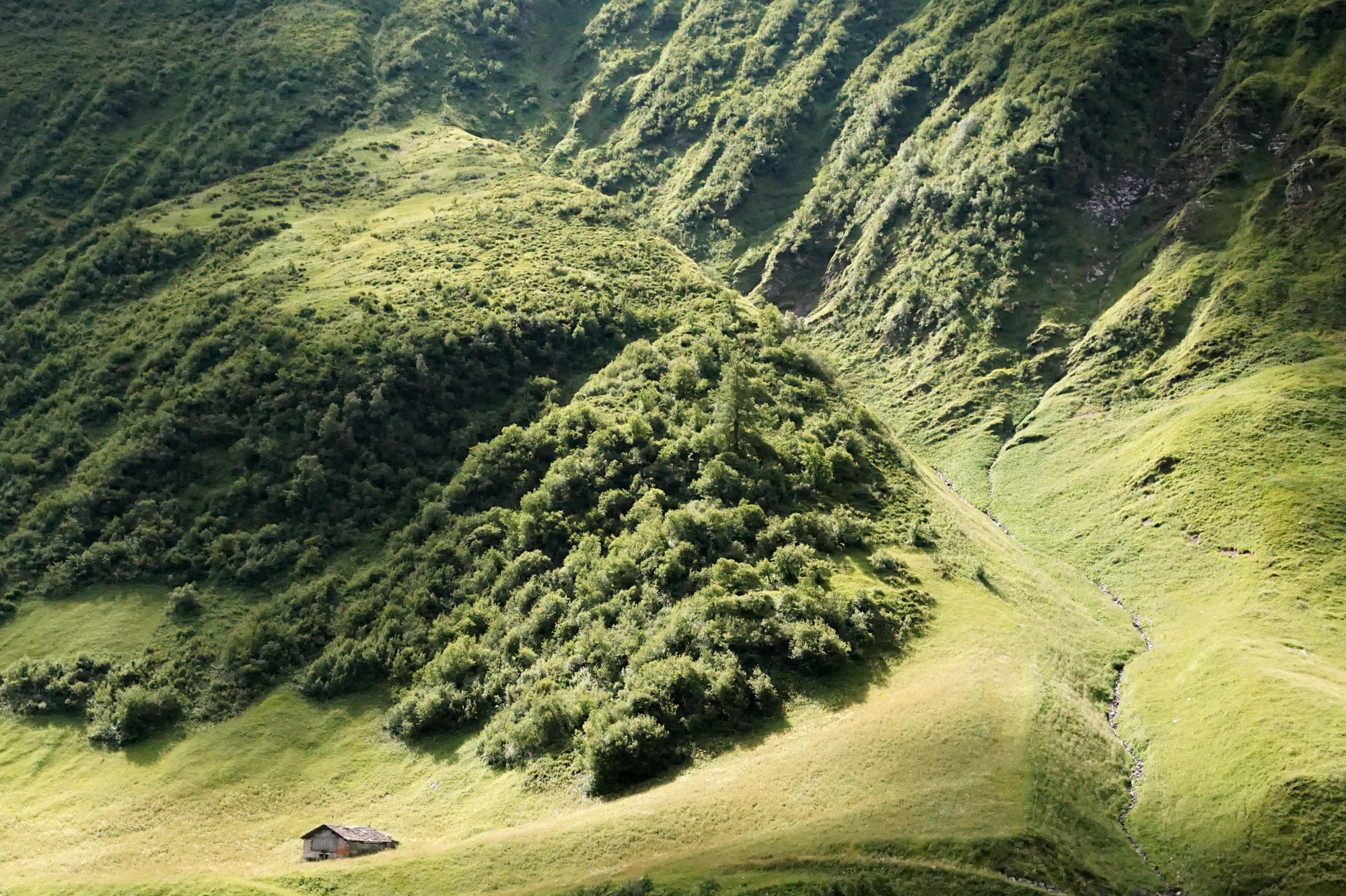 Lena Sponring's Story