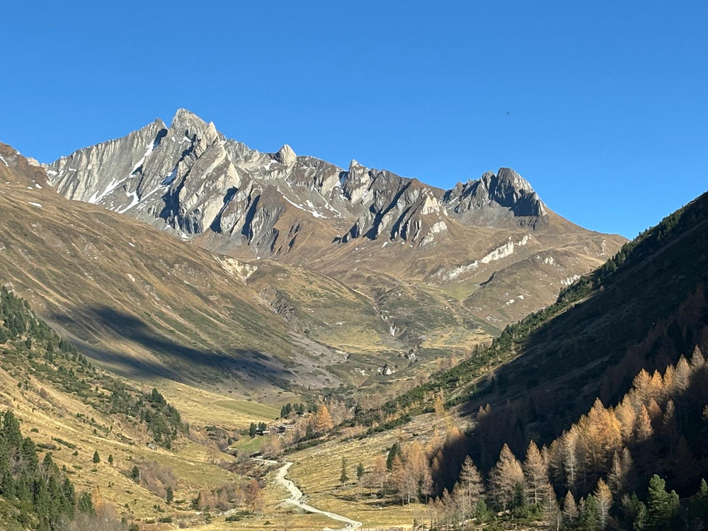 Petra Kulmitzer's Story