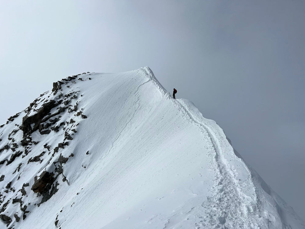 David Schuchter's Story