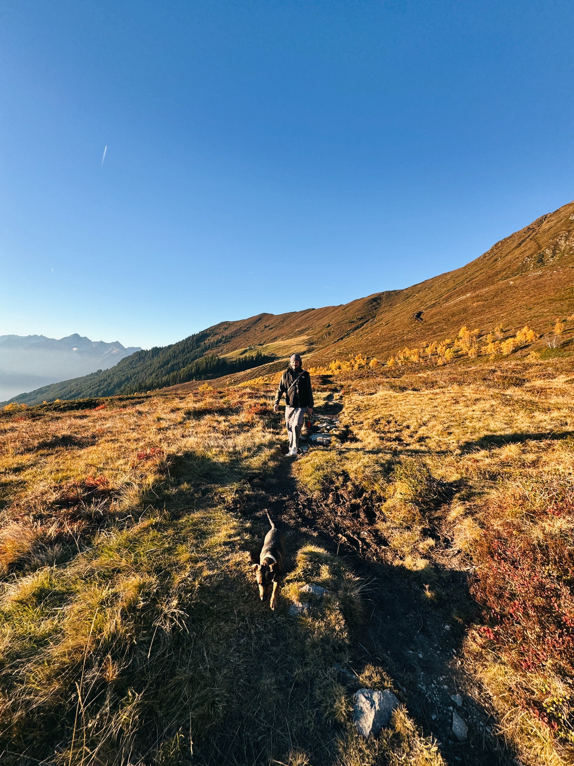 Mann am Berg mit Hund