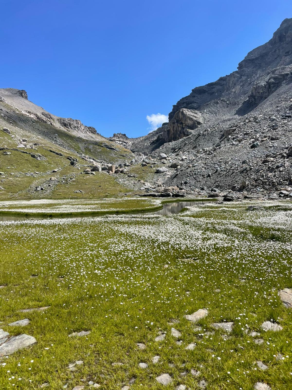 Victoria Egg Bergtour